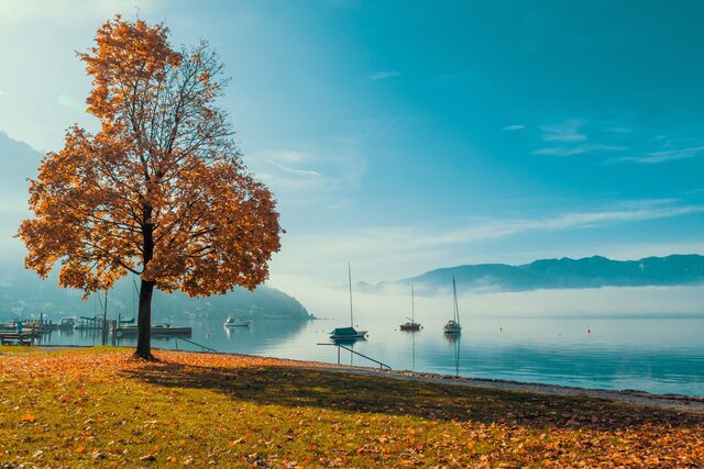 Herbst OÖ klein