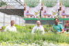 Landesgärtnermeister Hannes Hofmüller, Landesrat Max Hiegelsberger und Karl Ploberger präsentieren die Bienenpflanze des Jahres, die Bergminze 