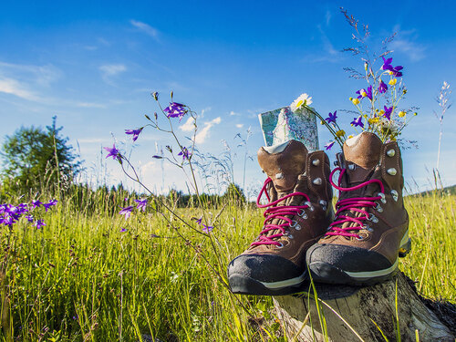 Wanderschuhe stehen auf einer Sommerwiese