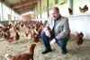 Landesrat Max Hiegelsberger in einem großen hellen Stall mit hunderten Hühnern, vor ihm ein Huhn