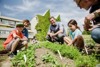 Landesrat Stefan Kaineder mit einer Schülerin und einem Schüler und zwei Erwachsenen hinter einem Gemüsebeet