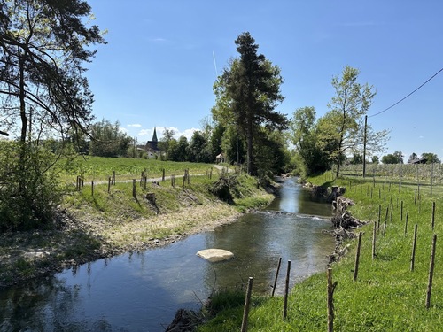Das Renaturierungsprojekt am Gurtenbach in St. Georgen bei Obernberg am Inn. 