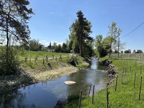 Das Renaturierungsprojekt am Gurtenbach in St. Georgen bei Obernberg am Inn. 