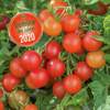 Das Gemüse „Rote Rosi“ und die Balkonblume „Hitze Mitzi“ des Jahres 2020