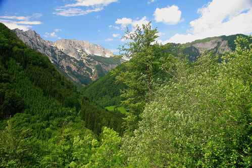 Blick auf das Sengsengebirge im Frühling.