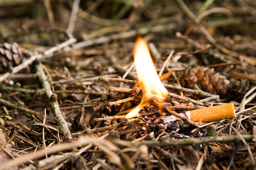 Eine weggeworfene Zigarette liegt am Waldboden, wo dürre Ästchen bereits Feuer gefangen haben.