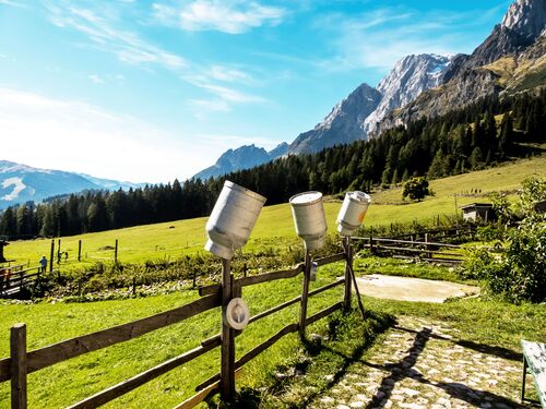 Alm mit Zaun im Vordergrund, auf dem Milchkannen zum Trocknen hängen