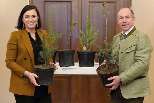 Bundesministerin Elisabeth Köstinger und Landesrat Max Hiegelsberger mit kleinen Bäumchen in der Hand