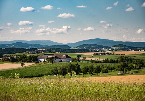 Bauernhof in einer Landschaft mit Hügeln, Wäldern und Feldern