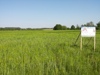 Wiese mit Tafel - Baugrund