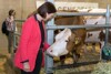 Agrar-Landesrätin Langer-Weninger krault eine Kuh in einem Stall, daneben ein weiteres Fleckvieh.