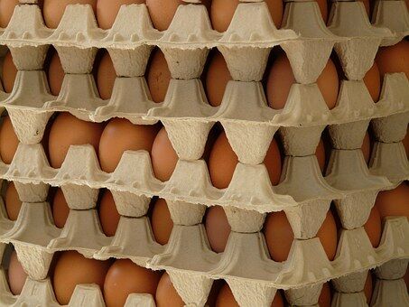 Eier in Schachteln übereinander gestapelt