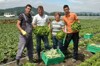 Foto wurede im vergangenen Jahr aufgenommen. Erntehelfer mit Landwirtin Christine Mayr in Eferding