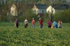 Foto wurde im vergangenen Jahr aufgenommen. Erntehelferinnen beim Unkrautjäten im Erdbeerfeld