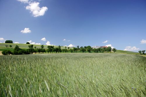 Kulturlandschaft, Feld, Obstbaumwiese, Bauernhof