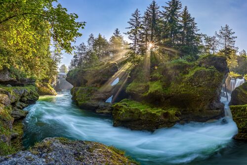 Flusslandschaft im Wald, Traunfall in Roitham