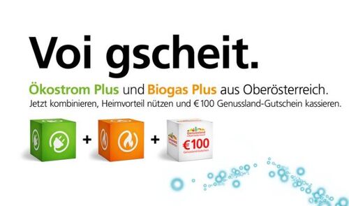 Voi gscheit. Ökostrom Plus und Biogas Plus aus Oberösterreich. Jetzt kombinieren, Heimvorteil nützen und Euro 100 Genussland-Gutschein kassieren und drei Würfel mit den Zeichen „Biogas“, „Oköstrom“ und Genussland Euro 100 als auch kleine blaue Kreise.