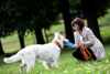 Landesrätin Birgit Gerstorfer, mit Leine und Frisbee in Händen, mit einem Schäferhund auf einer Wiese 