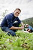 Landesrat Stefan Kaineder kniet mit einem kleinen Erntemesser in der Hand in einem Feld mit Rucola