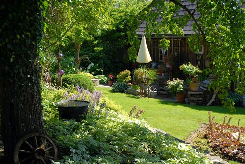 Blick auf einen Garten mit Blumen, Kräutern und Bäumen, im Hintergrund Holzhaus.   