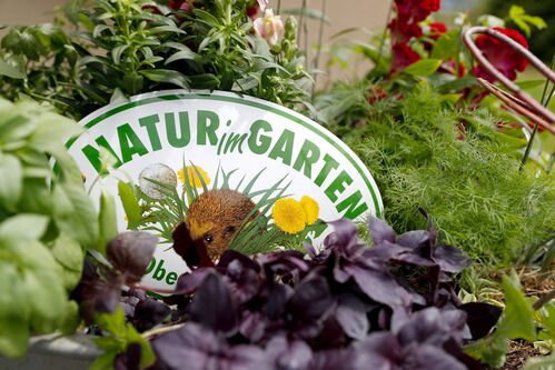 eine Plakette mit der Aufschrift „Natur im Garten Oberösterreich“ lehnt zwischen verschiedenen Pflanzen 
