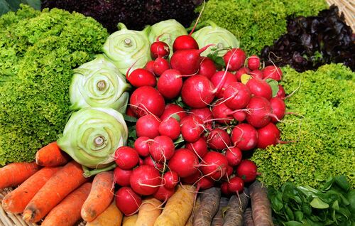 Verschiedene Gemüsesorte wie Karotten, Salat und Radieschen liegen beieinander