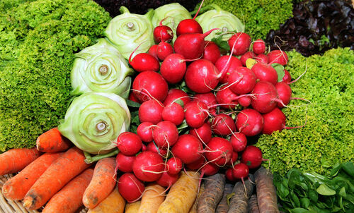 Salat, Karotten, Radieschen und viele andere frische Köstlichkeiten ohne Plastikverpackung im Angebot.