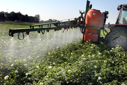 Feld wird mit Pflanzenschutzmittel besprüht