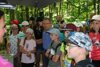 Landesrat Ing. Wolfgang Klinger und Schülerinnen und Schüler in einem Wald beim Zuhören einer Vortragenden