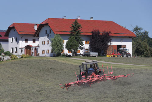 Eine Wiese mit einem Traktor, der Heu wendet. Dahinter ein Bauernhof und ein paar Bäume.