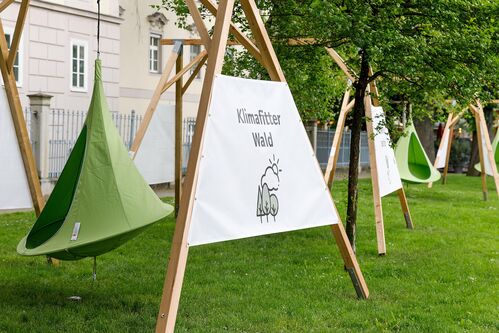 Mehrere Holzkonstruktionen mit jeweils einem Hängezelt stehen nebeneinander im Linzer Landhauspark; am ersten Holzkonstrukt ist die Aufschrift „Klimafitter Wald“ zu lesen. 