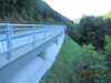 Straße auf einer Brücke in einer Landschaft mit Bäumen und Sträuchern