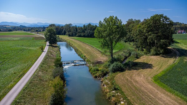 Luftaufnahme der Krems mit Vegetation 
