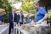 Landeshauptmann Thomas Stelzer und Landesrat Achleitner bei der Sommerfrische in Wien an einem Fischgrill.