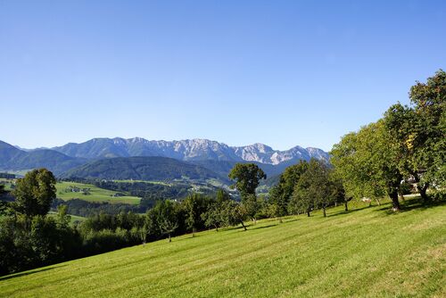 Sommerliche Landschaft, Berge, Bergkamm, Wälder, kleine Siedlungen, im Vordergrund Streuobstwiese