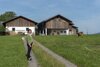 Landesrätin Michaela Langer-Weninger steht auf einer gekiesten Zufahrt zu einem Bauernhof, daneben Kühe auf einer Weide