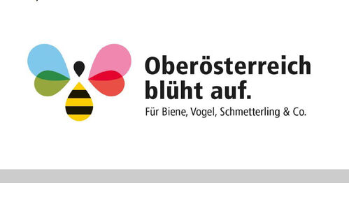 Logo der Kampagne Oberösterreich blüht auf, stilisierter Schmetterling