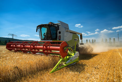 Mähdrescher auf einem Feld bei der Ernte