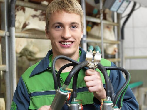 Junger Landwirt beim Melkstand