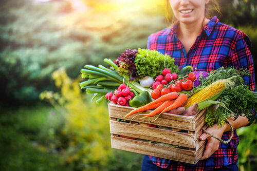 Frau trägt Kiste mit verschiedenen Gemüsen