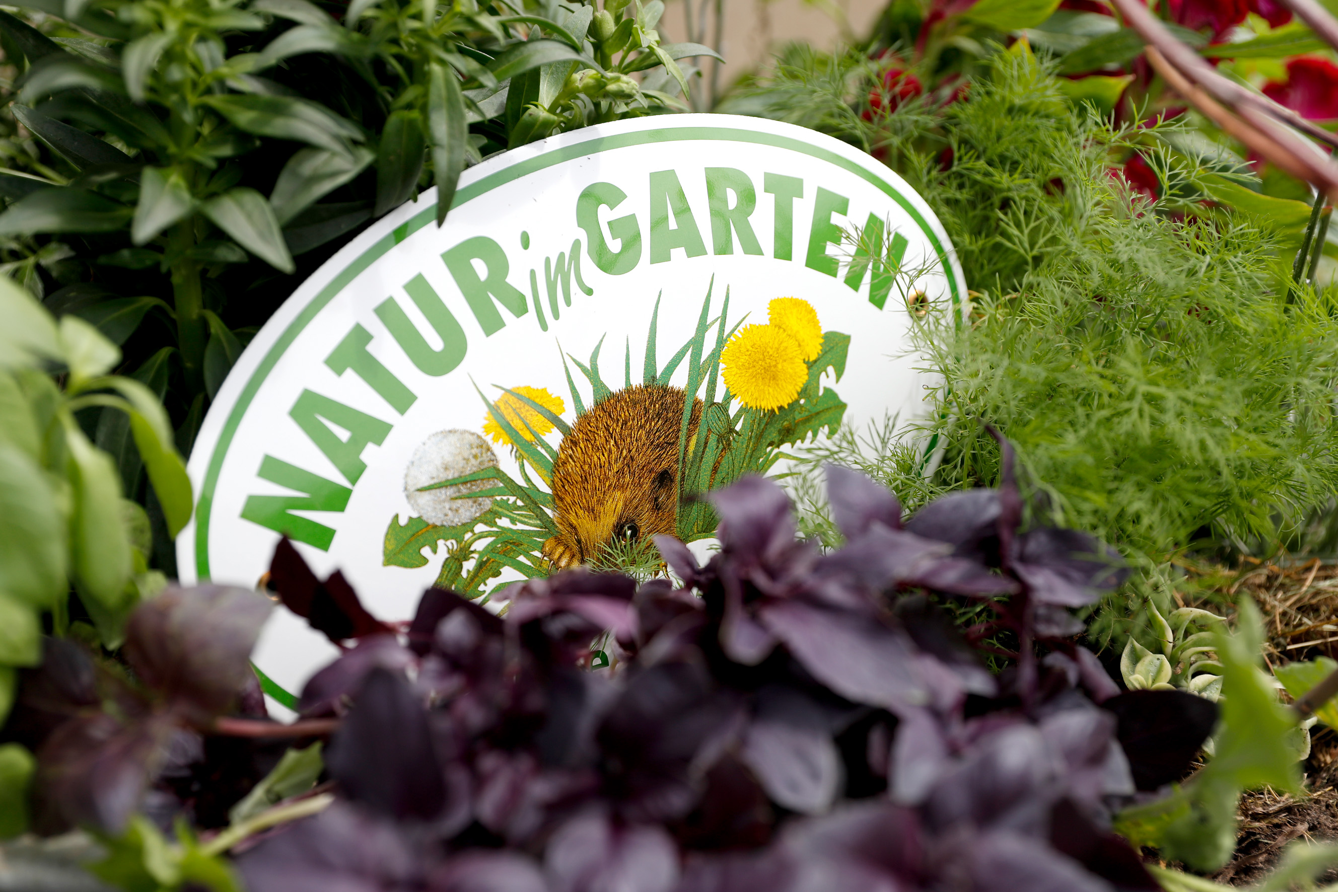 31+ Natur Im Garten &amp; Magazin, Du liebst den würzigen geschmack von