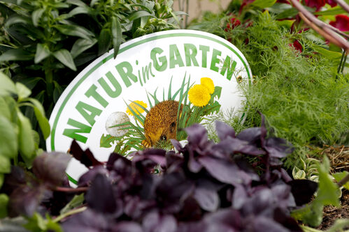Plakette mit Beschriftung Natur im Garten in einem Gemüsebeet