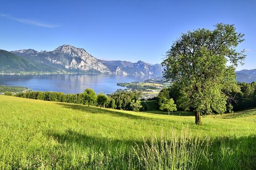 Blick auf Nussdorf am Attersee im Sommer.