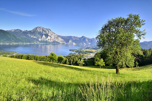 Oberösterreichs jüngster Naturpark, der Naturpark Attersee-Traunsee, Berge, See, Wiesen, Wälder