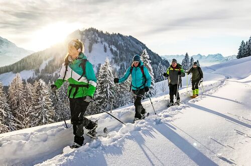 Vier Menschen beim Schneeschuhwandern, Wald, Berge, Tiefschnee