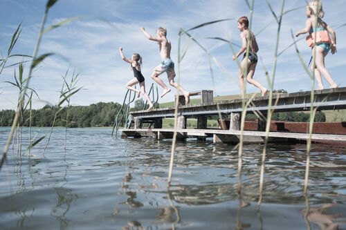 Vier Kinder in Badebekleidung auf einem Steg bereit zum Sprung in einen See