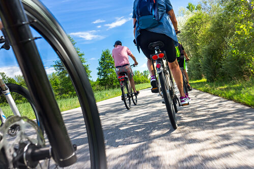 Radfahrerinnen und Radfahrer auf einem Radweg inmitten der Natur, Aufnahme von hinten