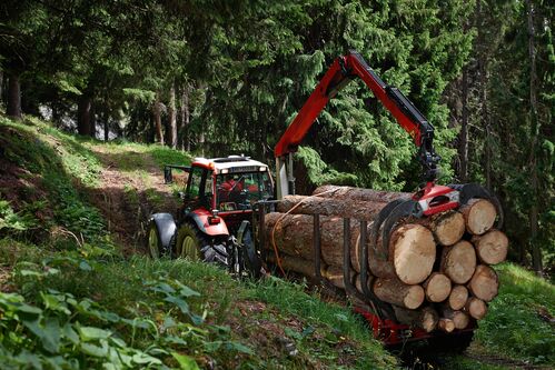 Traktor zieht einen mit Stämmen beladenen Anhänger mit Kranaufsatz durch einen Wald