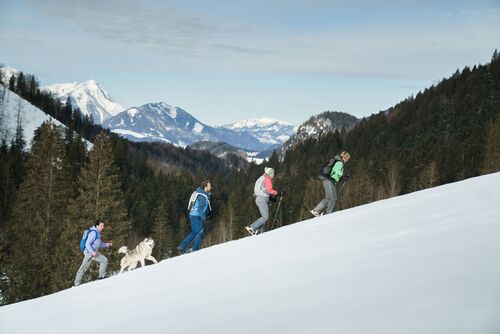 Eine Gruppe von vier Personen geht mit Schneeschuhen einen Hang hinauf, im Hintergrund Wald ohne Schnee und teilweise schneebedeckte Berge