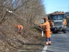 Straßenmeistereien im Einsatz beim Baum- und Strauchschnitt